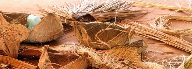 Imagem 2 do projeto Saberes e Protagonismo