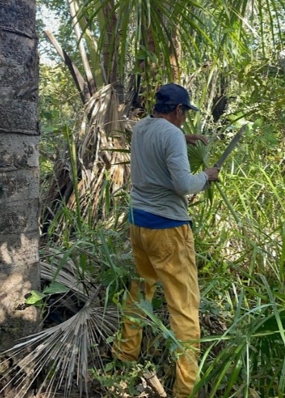 Imagem 2 do projeto Me Amji Jahkrepej to ipicamen xà / Fazendo e aprendendo