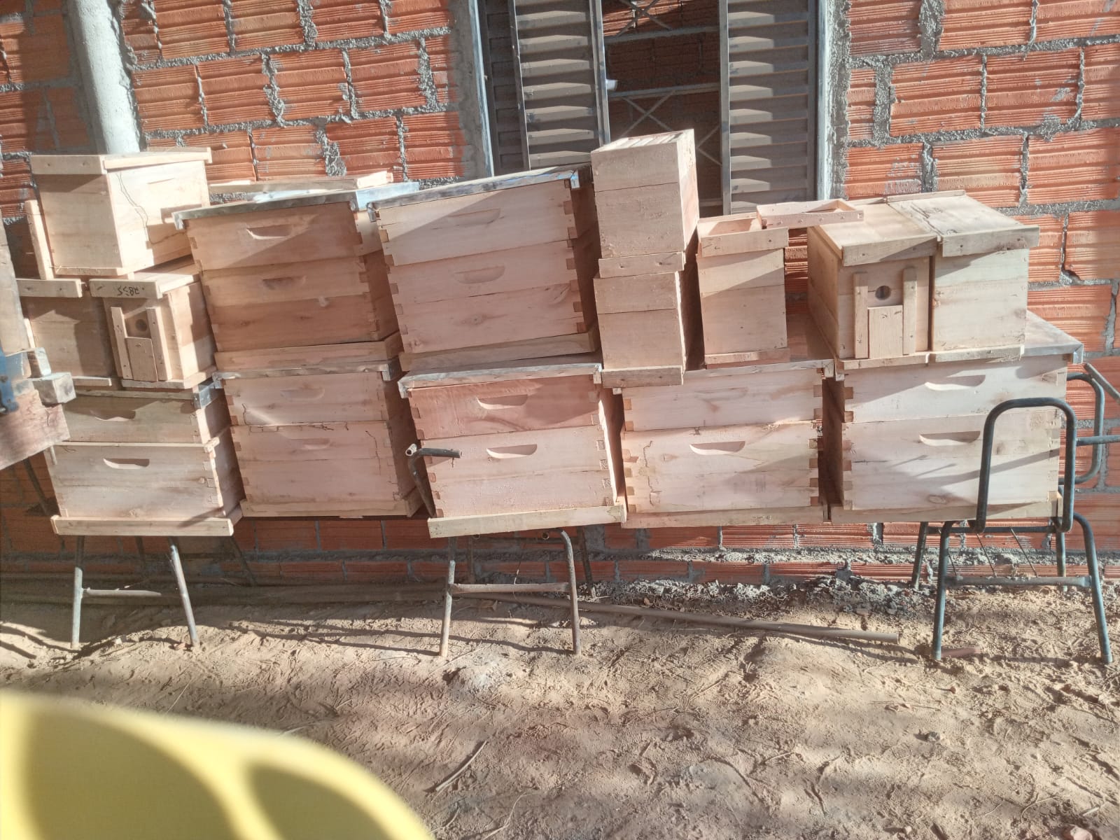 Imagem 2 do projeto Apicultura Sustentável